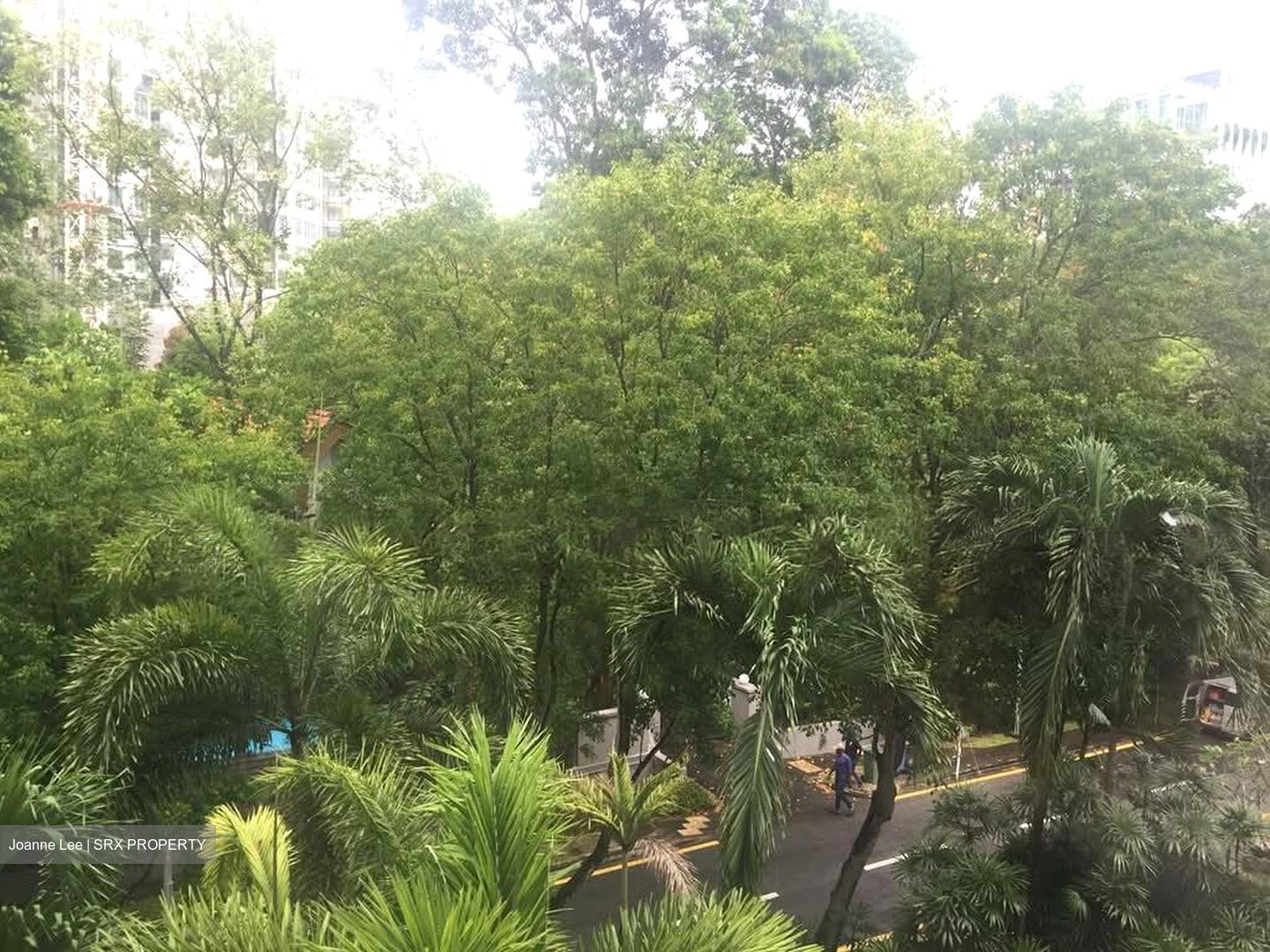 The Balmoral Spring (D10), Apartment #606452731